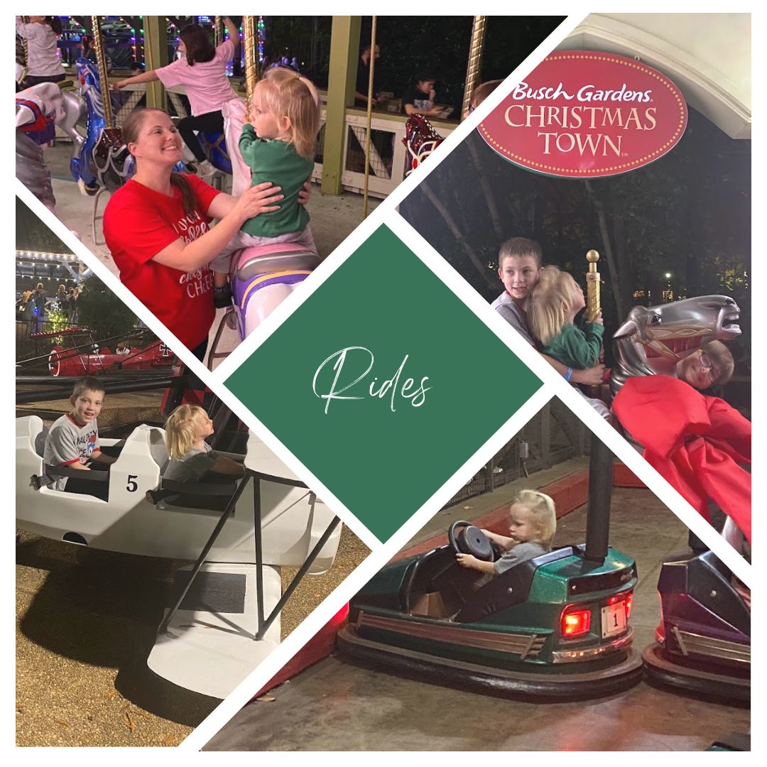 BG- RIDES – The Playful Parent